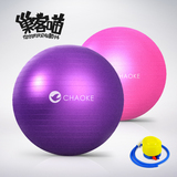 巢客瑜伽球加厚防爆正品瘦身球儿童孕妇瑜伽用品助产球减肥球特价