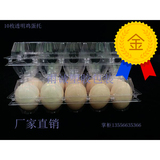 直售10枚中鸡蛋盒鸡蛋托 /PVC透明吸塑塑料禽蛋包装托盘冰箱蛋托