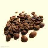 包邮广诚摩卡咖啡豆AA级肯尼亚进口生豆新鲜烘焙450g包装可代磨粉