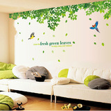 墙贴包邮 客厅卧室顶线沙发电视墙背景新年装饰贴纸 超大绿叶飞鸟