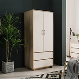 大衣柜实木组合板式2门简约现代成人卧室组装多功能储物柜经济型