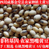 黑脐土小黄豆四川农家老品种非转基因发豆芽打豆浆自种产2015新货