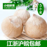 泰国进口椰皇 进口水果 新鲜椰子奶香椰青椰汁5个装江浙沪皖包邮