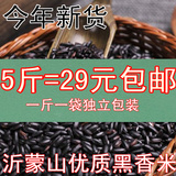 【送玉米碴】5斤沂蒙山农家新货黑米纯天然农货黑香米无染色杂粮