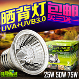 乌龟晒背灯陆龟蜥蜴加热灯补钙灯uva+uvb3.0全光谱太阳灯瓦数可选