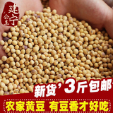 黄豆 豆浆专用 农家自种土黄豆 非转基因 可发豆芽 杂粮豆500g