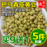 5件包邮 老巴马农家青皮黄豆自种老品种生青黄豆500g非东北大豆