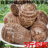 5斤包邮新鲜芋头小毛芋头山东农家自种香芋特产芋艿胜荔浦芋头