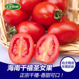 【佳利麦】正宗千禧红圣女果1KG 小西红柿 小番茄 新鲜水果59包邮