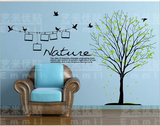 特惠！照片墙相片墙自然风树枝树木树叶小鸟相框墙贴超值包邮
