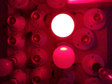 LED3W5W7W9W12W红绿蓝光球泡灯/RGB球泡灯筒灯光源/七彩色球形灯