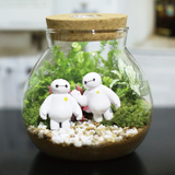 苔藓微景观玻璃瓶diy 创意小盆栽办公室桌面植物生态瓶摆件礼物