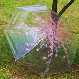包邮花瓣长柄透明雨伞女自动创意折叠透明伞儿童超轻女生公主伞