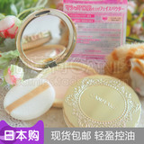 现货包邮日本CANMAKE棉花糖式柔软弹力肌肤触感美颜控油蜜粉饼10g