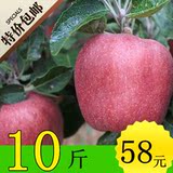 礼县农家有机特产新鲜水果花牛蛇果元帅粉苹果年货10斤30颗包邮