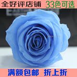 03480 玫瑰 3.5-4.5cm 9朵装 大地农园日本进口永生花批发花材DIY