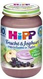 德国HIPP喜宝婴儿辅食 蓝莓苹果酸奶水果泥5440 10M+现货