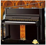 德国世界名琴 斯坦伯格 K3-ku250 黑色立式钢琴 全新正品 包邮