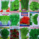 四季简单夏季生菜秋葵播蔬菜种子套餐 阳台 盆栽易种菜籽