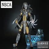 【菜小贱动漫店】NECA铁血战士AVP铁血14代凯尔特 超可动模型人偶