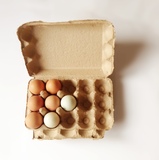 鸭蛋托 大号蛋盒 鸡蛋托 户外餐具 装鸭蛋盒子