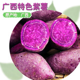 新鲜紫薯紫心薯番薯山芋红薯地瓜农家有机种植小紫薯2斤包邮