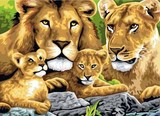 特价数字油画包邮动物狮子diy手绘油画数码风景油画客厅卧室大幅