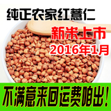 农家新货批发红薏米仁 红薏米 有机红薏仁米 小薏米250g 贵州特产