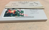 T111M 木兰植物小型张中国邮票原胶全品