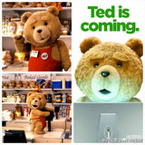 ted熊玩具衣服定做大熊穿人行走卡通人偶服装毛绒公仔娃娃泰迪熊