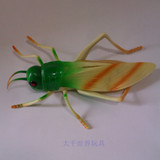大号昆虫类动物蝗虫模型玩具动物仿真摆设摆件儿童逼真塑胶玩偶
