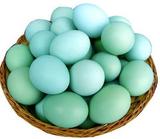 新鲜鸡蛋 正宗农家散养 绿皮鸡蛋 乌鸡蛋 绿壳鸡蛋 土鸡蛋30枚