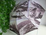 世界油画画 风景 自动开长柄伞晴雨伞