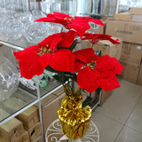 圣诞花 一品红 圣诞节日庆典 活动装饰专用花卉 仿真圣诞红喜庆花