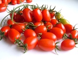 圣女果小番茄 广西田阳小番茄 新鲜水果10斤装 现摘现发