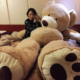 毛绒玩具1.6米熊2米美国大熊公仔2.6米泰迪熊3.4米抱抱熊玩偶娃娃