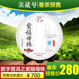 2016年头春茶预售 数字普洱茶云南紫娟母株生茶200克饼茶叶包邮