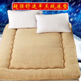 羊羔绒床垫子 被褥垫被 软垫 日式塌塌米可折叠 地铺床垫 厚垫