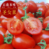 新鲜水果圣女果蔬果小番茄西红柿水果云南元谋特产1斤包邮