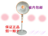 先锋电暖器NSB-10LQ4(DF089)落地式，小太阳，取暖器