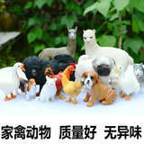 仿真动物模型儿童玩具摆件公仔鸡鸭鹅狗羊驼兔子猫野生家禽好精致