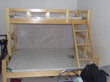北京包邮安装实木上下床员工高低床子母床实木床公寓床松木上下床
