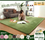 特价 加厚珊瑚绒地毯 客厅茶几卧室 床边飘窗纯色地毯可水洗定制