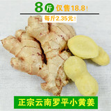 云南罗平农家小黄姜8斤散装新鲜生姜自家种土姜老姜子姜特产生姜