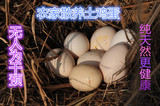60枚包邮陕西黄龙农家土鸡蛋 山林低密度散养有机土鸡蛋新鲜鸡蛋
