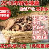 榛蘑菇 2015新东北野生针蘑 小鸡炖蘑菇 土特产干货 无添加250克