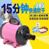 春舟BS-2400W宠物专用狗狗大功率吹水机吹风机 宠物洗澡 25省包邮