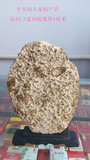 观赏石奇石燕子石三叶虫化石工艺品礼品装饰品砚台摆件-原石