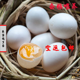 特级农家新鲜鸽子蛋30枚包邮信鸽白鸽蛋孕妇宝宝辅食营养鸽蛋