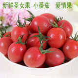 圣女果 小西红柿 珍珠小番茄 樱桃小番茄 爱情果新鲜水果 500g/份